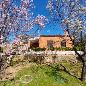 WhatsApp-Image-2021-04-16-at-23.42.21